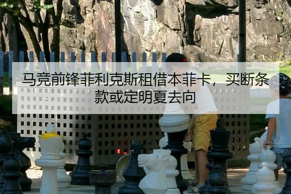 ma-jing-qian-feng-fei-li-ke-si-zu-jie-ben-fei-ka-mai-duan-tiao-kuan-huo-ding-ming-xia-qu-xiang-1-776.jpg